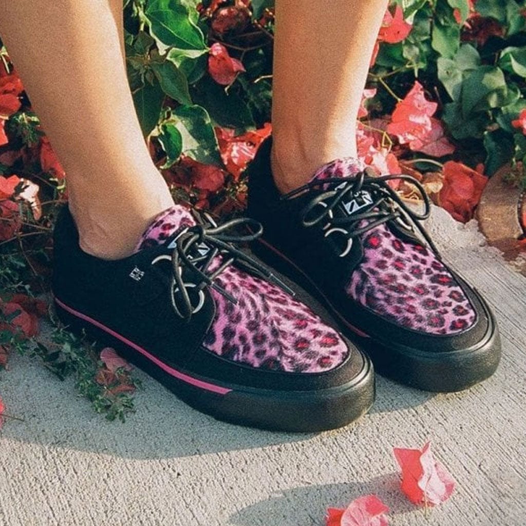 Creeper Sneaker Black Canvas Pink Leopard Print